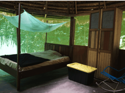 Rainforest Healing Center