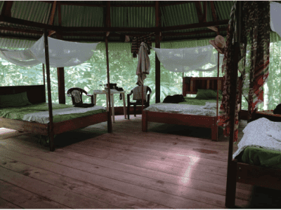 Rainforest Healing Center