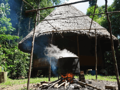Rainforest Healing Center