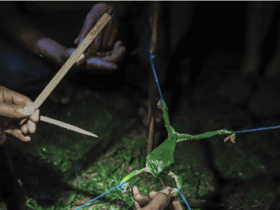 Rainforest Healing Center