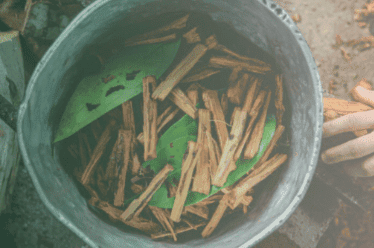 Eco-friendly natural materials at Acsauhaya retreat in a lush setting.