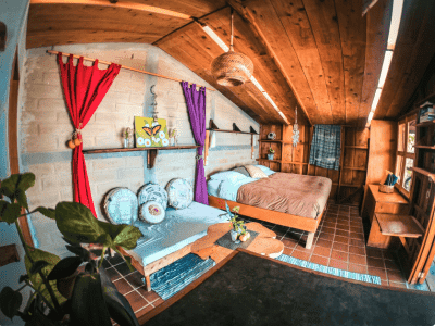 Ayahuasca Community Fellowship, Aya de La Vid