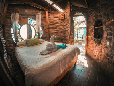 Ayahuasca Community Fellowship, Aya de La Vid