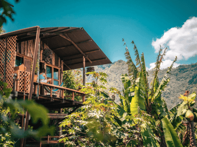 Ayahuasca Community Fellowship, Aya de La Vid