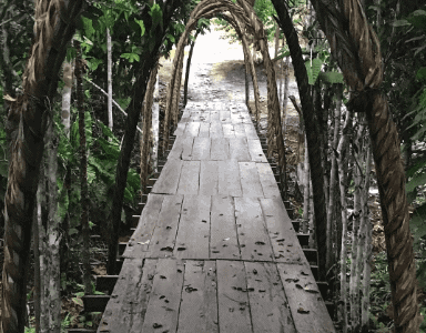 Marosa Healing Center