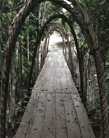 Marosa Healing Center