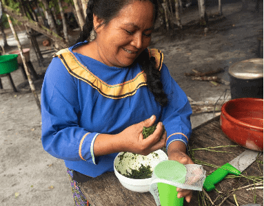 Marosa Healing Center