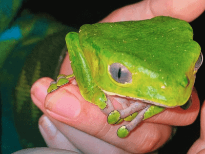 Aya Healing Retreats