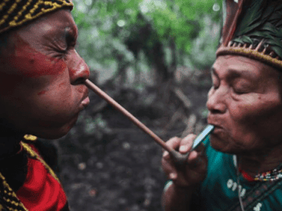 Aya Healing Retreats