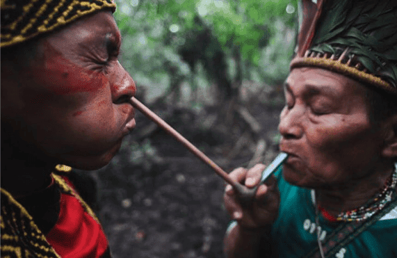 Aya Healing Retreats