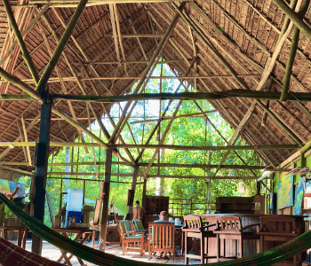 La Luna Del Amazonas