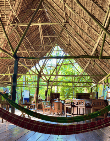 La Luna Del Amazonas