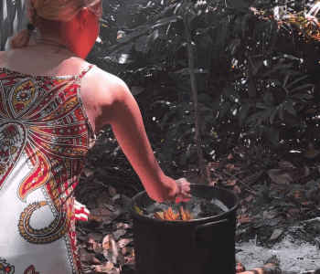 La Luna Del Amazonas