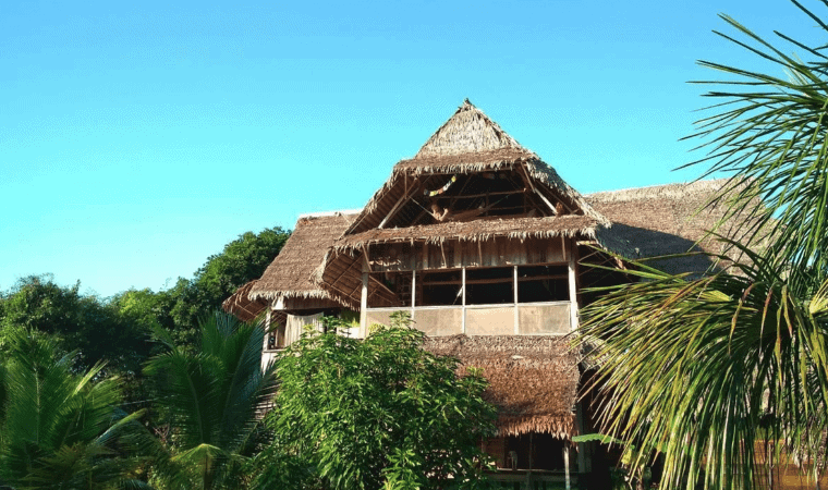 Tropical jungle retreat with traditional thatched roof in La Casa Del Otorongo, perfect for eco-frie.