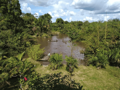 La Casa Del Otorongo