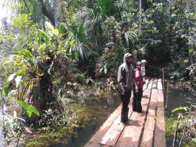 La Casa Del Otorongo