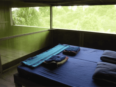 La Casa Del Otorongo