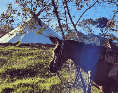 Eagle Condor Alliance