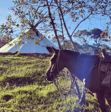 Eagle Condor Alliance