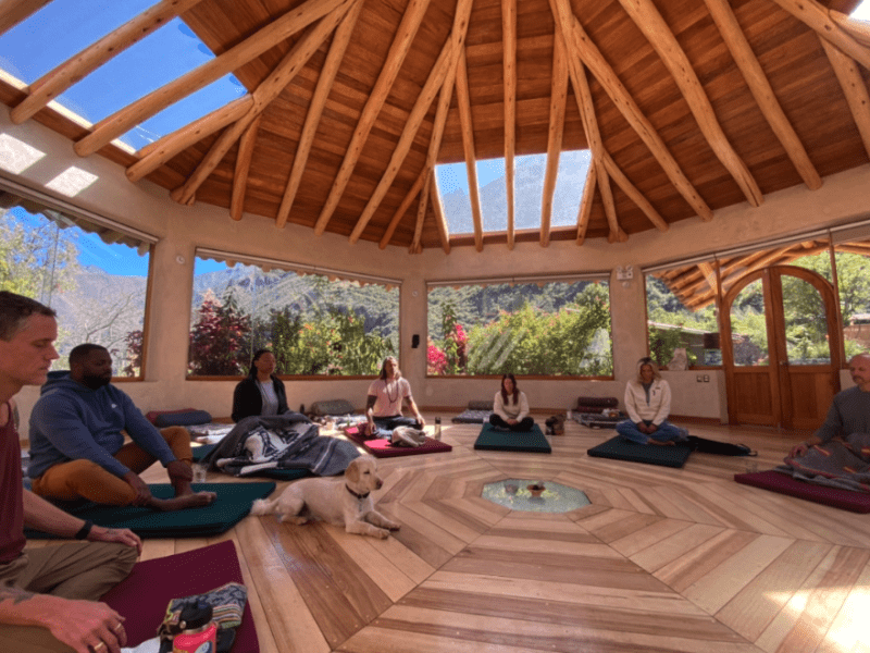 Intertwining Medicines