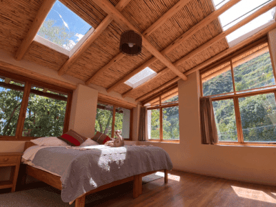 Intertwining Medicines