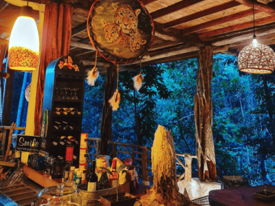 The Call of the Jaguar