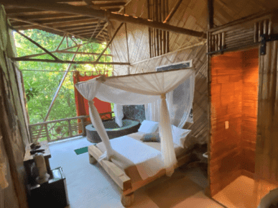 The Call of the Jaguar