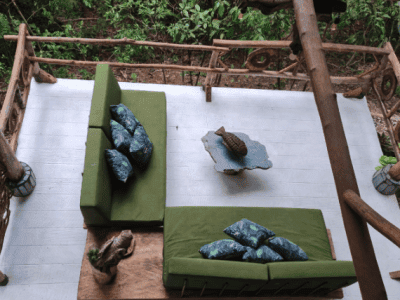 The Call of the Jaguar