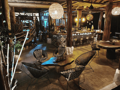 The Call of the Jaguar