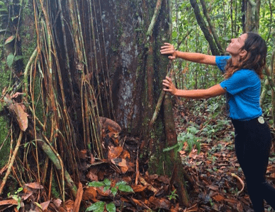 Hummingbird Healing Center