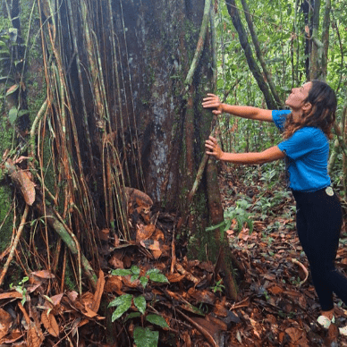 Hummingbird Healing Center