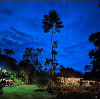 Hummingbird Healing Center