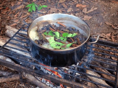 Selva Madre Ayahuasca Retreat