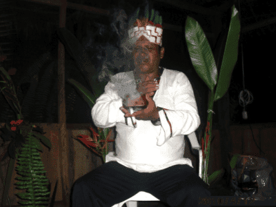 Selva Madre Ayahuasca Retreat