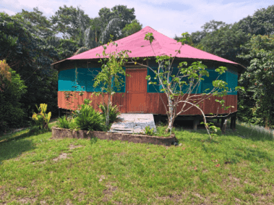Selva Madre Ayahuasca Retreat