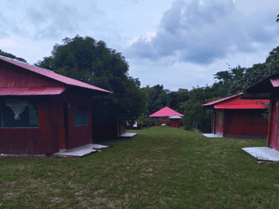 Selva Madre Ayahuasca Retreat