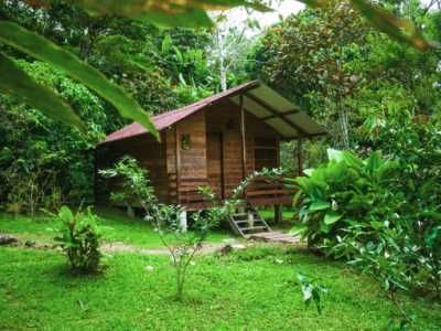 Aslepay Shamanic Center