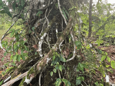 Kamentsa Inga Church