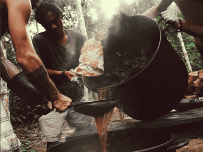 Mahāvana Foundation