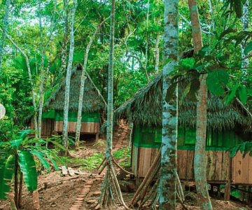 Ayahuasca Temple