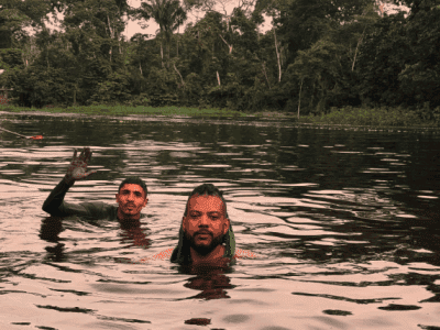 Encantos da Floresta