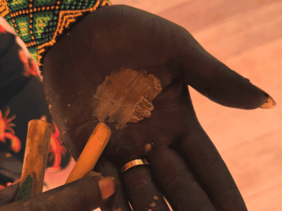 Encantos da Floresta