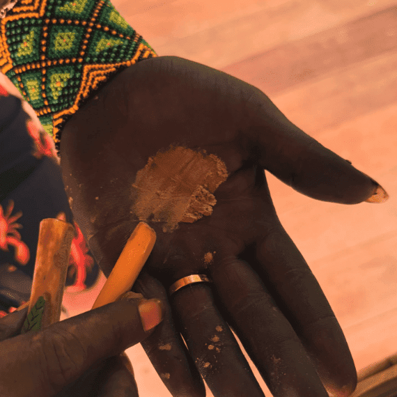 Encantos da Floresta