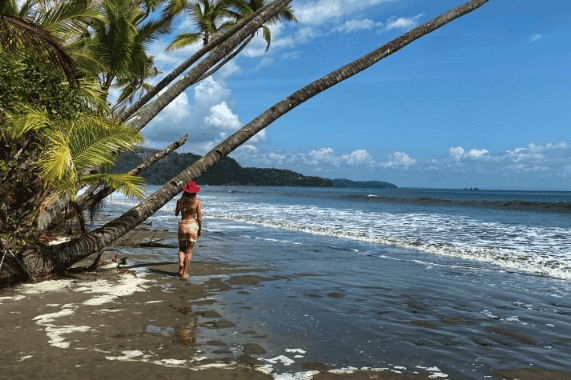 Serene beach scene at Sowa Nete with palm trees and ocean waves.