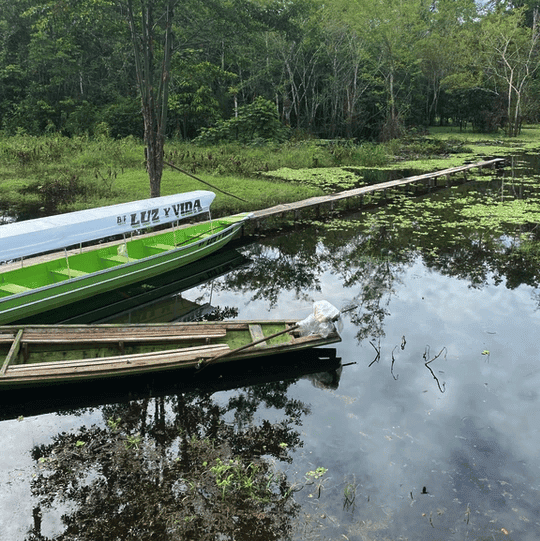 Luz Y Vida Amazon Lodge