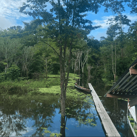 Luz Y Vida Amazon Lodge