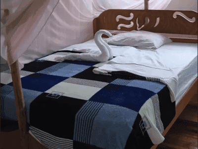 Luz Y Vida Amazon Lodge