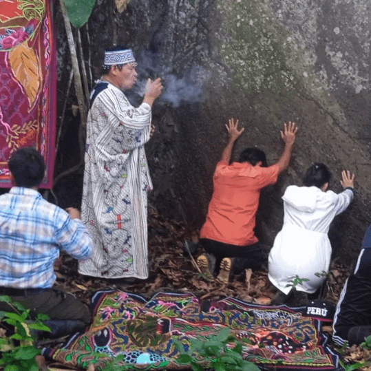 Luz Y Vida Amazon Lodge