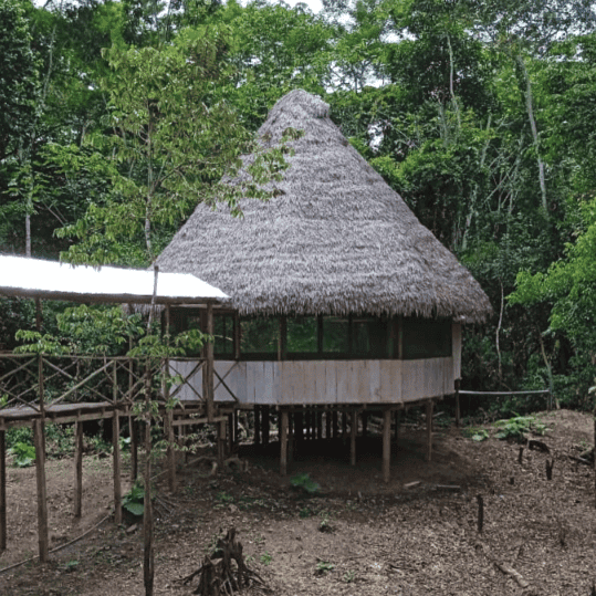 Luz Y Vida Amazon Lodge