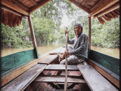 Ayahuasca Foundation